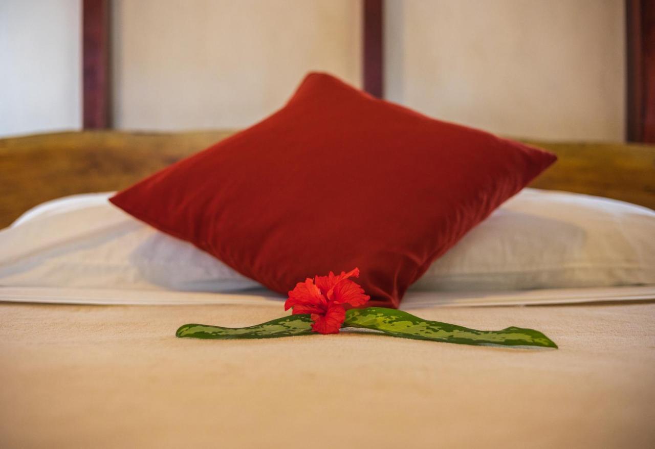 Namuwoki Lodge Puerto Viejo de Talamanca Kültér fotó