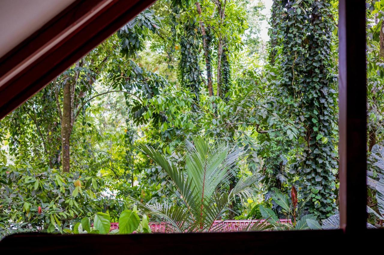 Namuwoki Lodge Puerto Viejo de Talamanca Kültér fotó