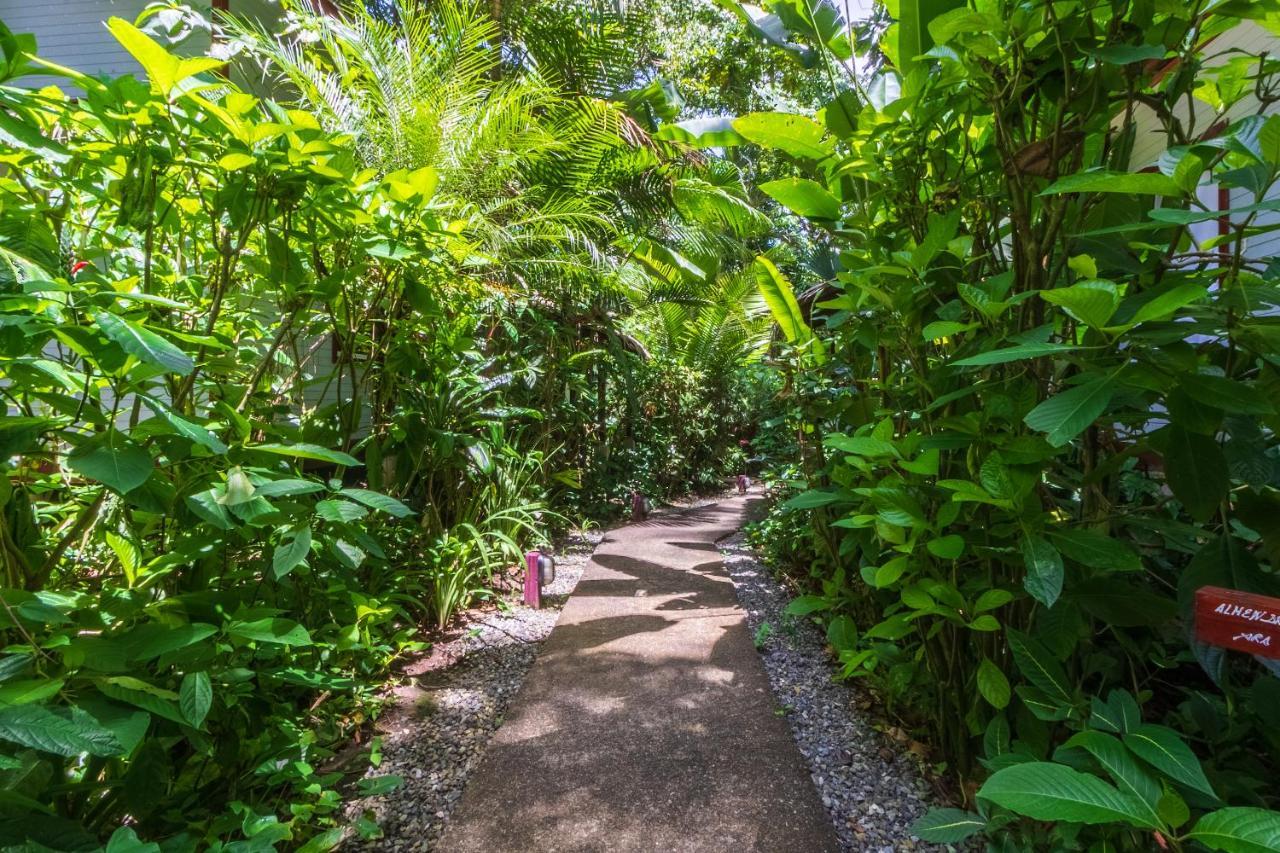 Namuwoki Lodge Puerto Viejo de Talamanca Kültér fotó